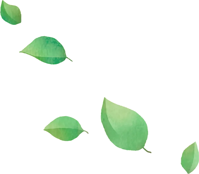 leaf