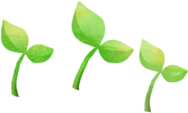 sprout