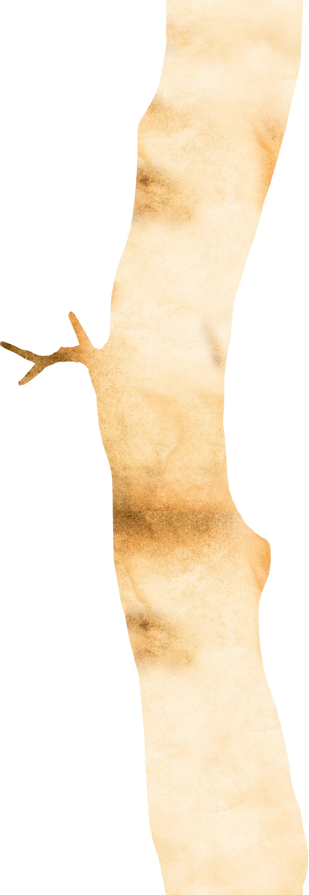 幹のイラスト